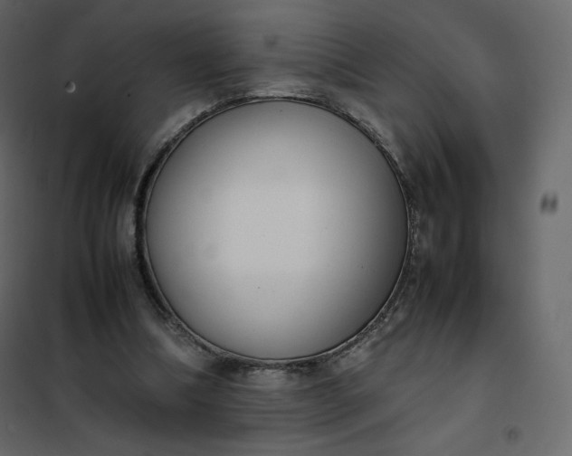 X0000102260298200808081408