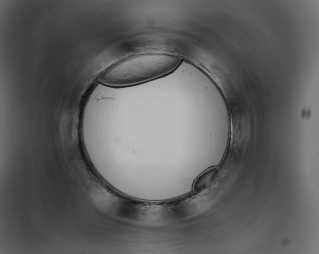 X0000102260301200808081408