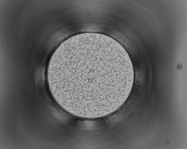 X0000102260302200808081408