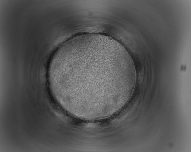 X0000102260303200808081408