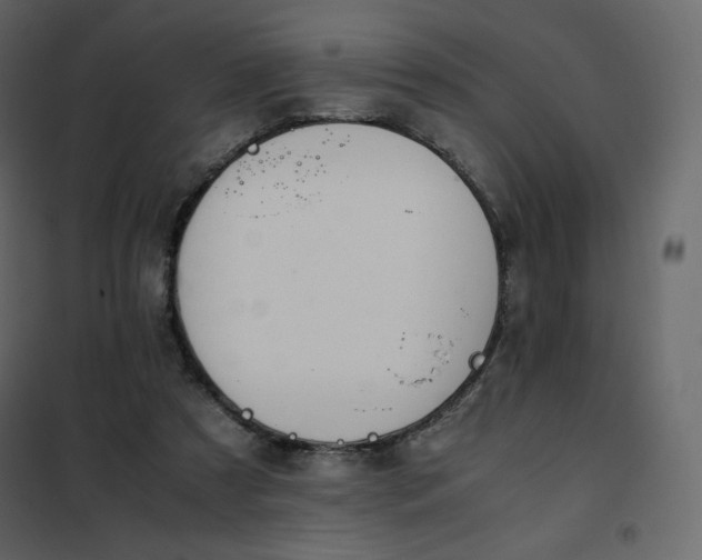 X0000102260305200808081408