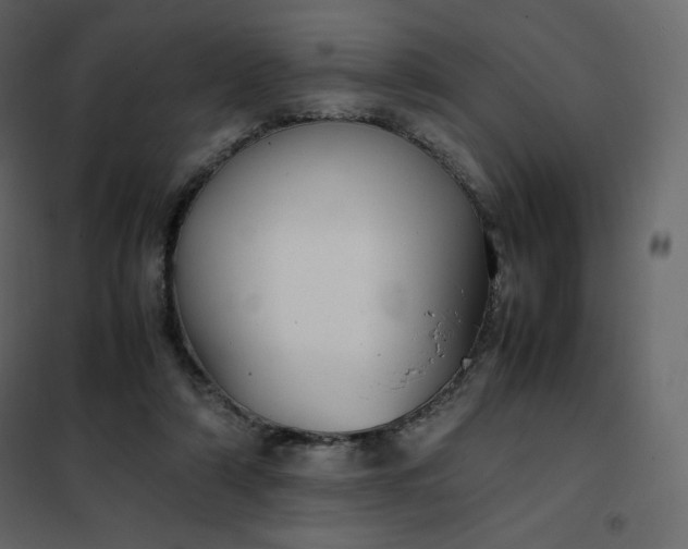 X0000102260306200808081408