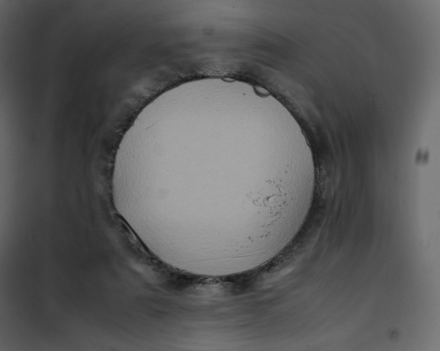 X0000102260307200808081408