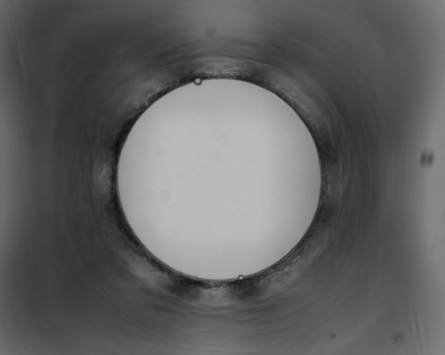 X0000102260309200808081408