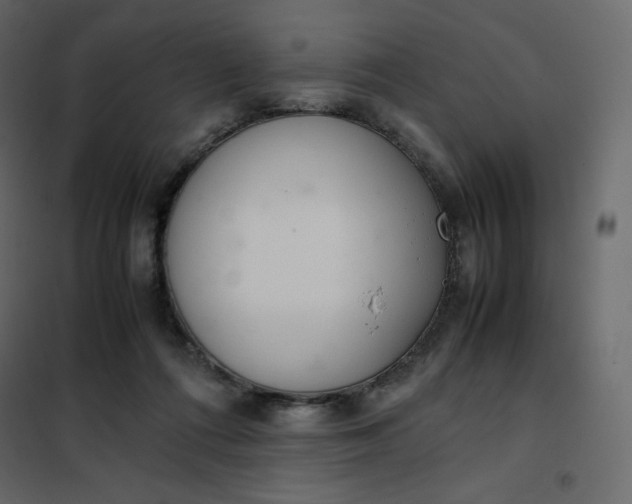 X0000102260312200808081408