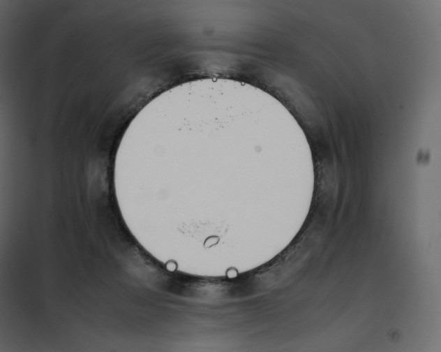 X0000102260313200808081408