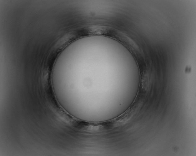 X0000102260314200808081408