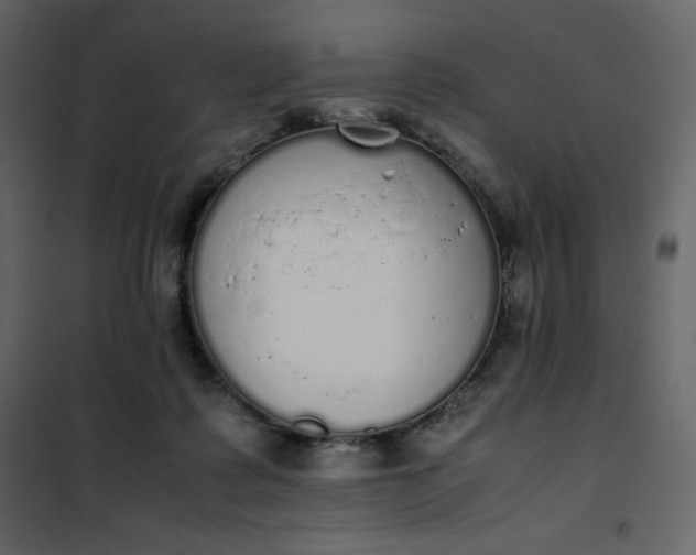 X0000102260315200808081408