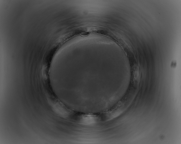 X0000102260316200808081407