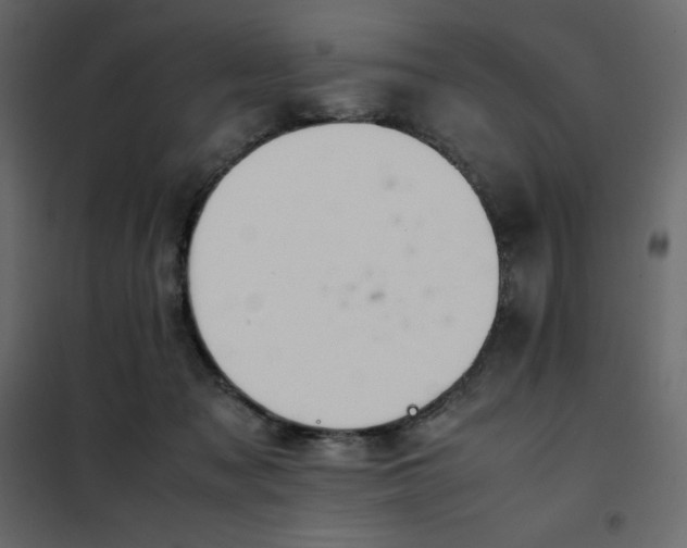 X0000102260317200808081407