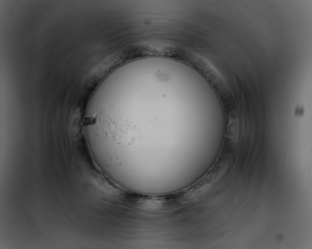 X0000102260318200808081407