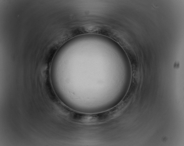 X0000102260319200808081407