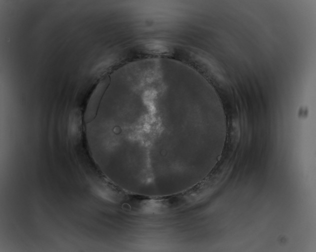 X0000102260320200808081407