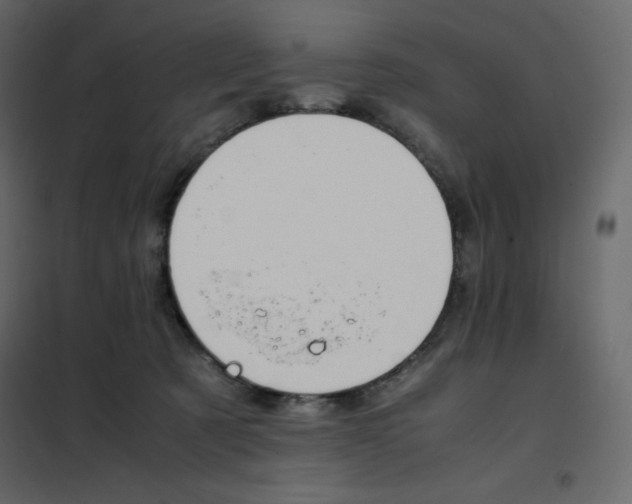 X0000102260321200808081407