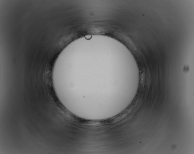 X0000102260322200808081407