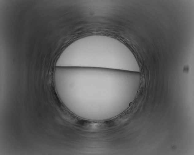 X0000102260323200808081407