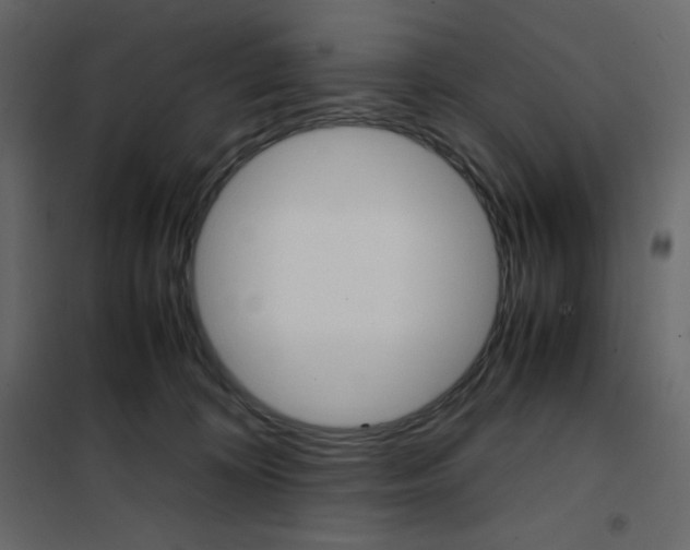 X0000102260324200808081407