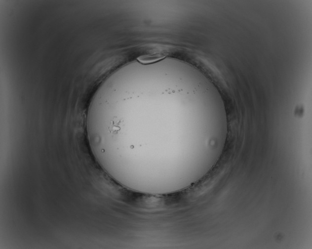 X0000102260325200808081407