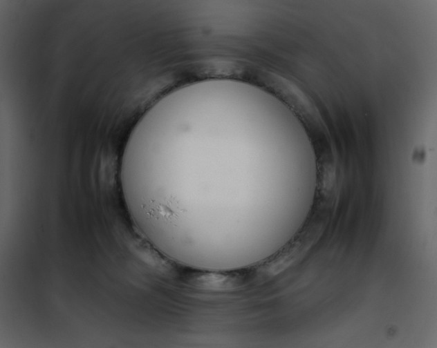 X0000102260326200808081407