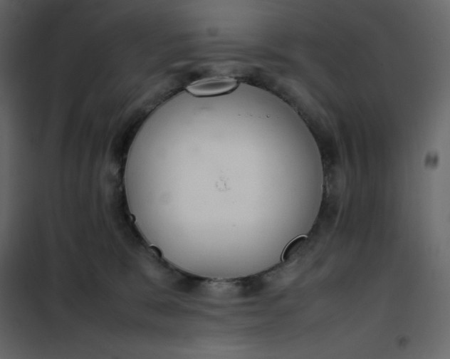 X0000102260327200808081407