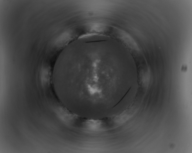 X0000102260328200808081407