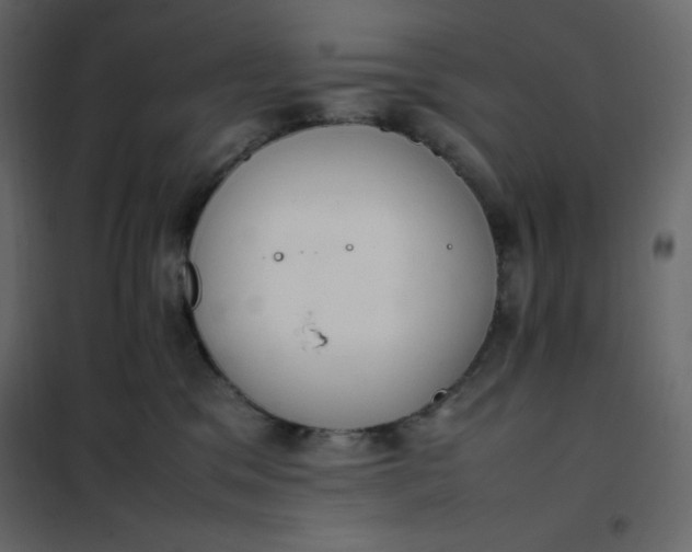 X0000102260329200808081407