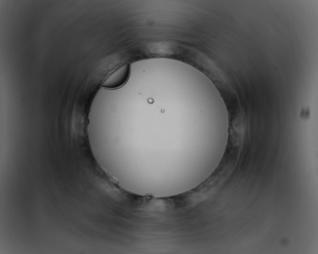 X0000102260330200808081407