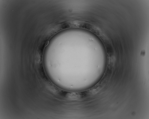 X0000102260331200808081407