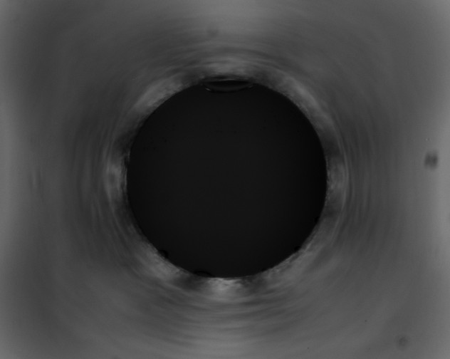 X0000102260333200808081407