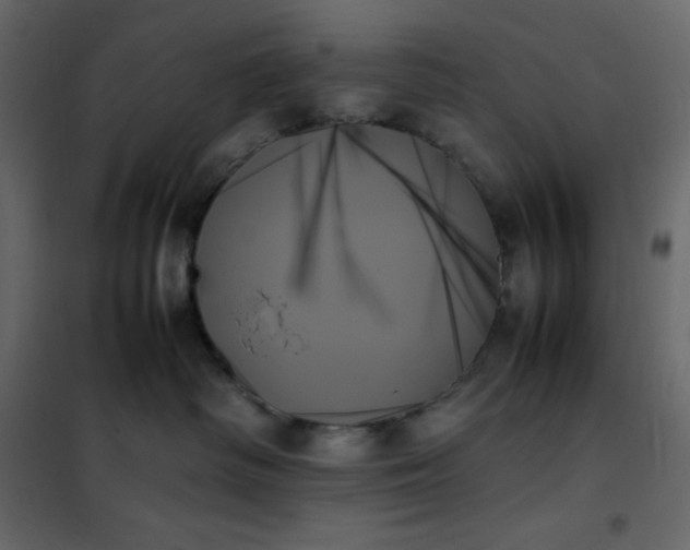 X0000102260334200808081407