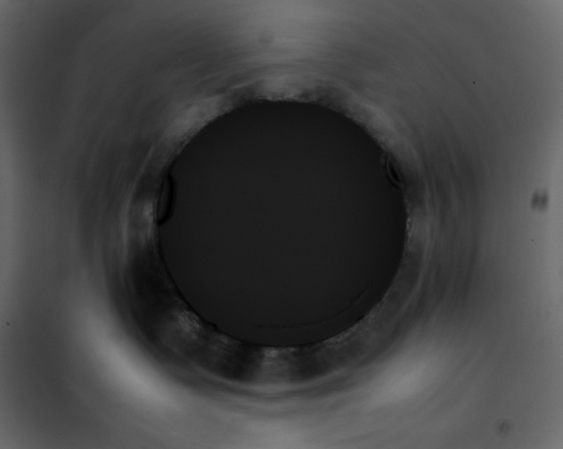 X0000102260335200808081407