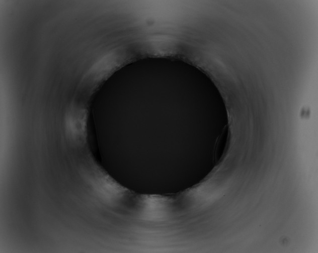 X0000102260336200808081407