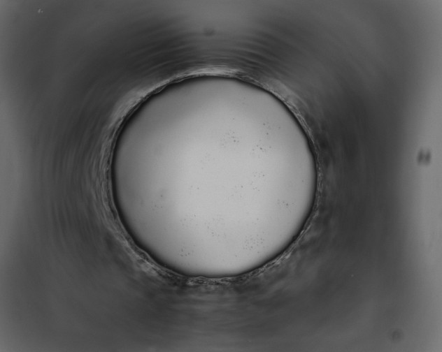 X0000102260337200808081406