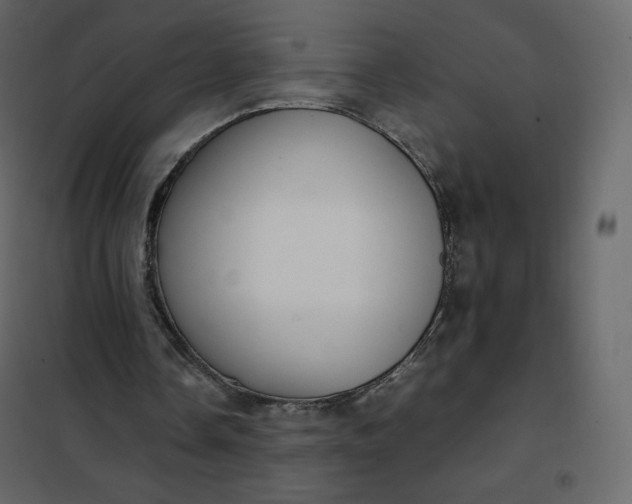 X0000102260338200808081406