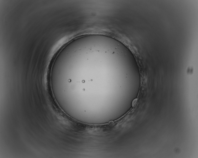 X0000102260340200808081406