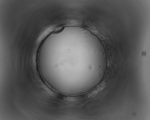 X0000102260341200808081406