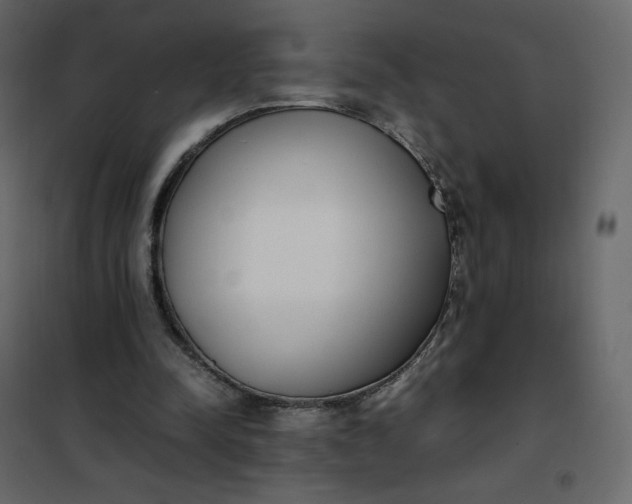 X0000102260342200808081406