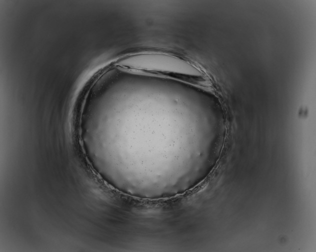 X0000102260343200808081406