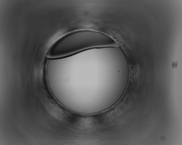 X0000102260344200808081406