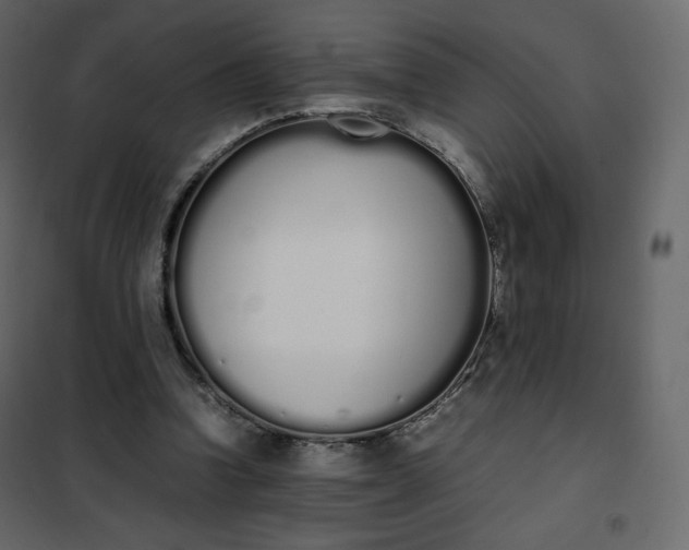 X0000102260346200808081406