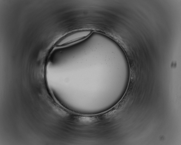 X0000102260347200808081406