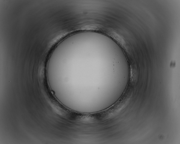 X0000102260348200808081406