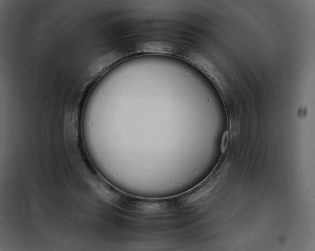 X0000102260349200808081406