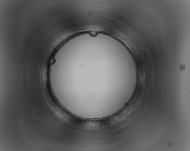 X0000102260350200808081406