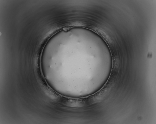 X0000102260351200808081406