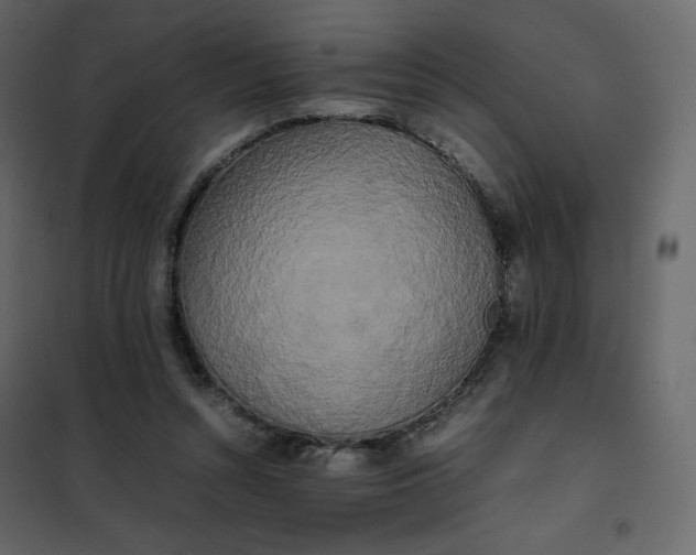 X0000102260352200808081406