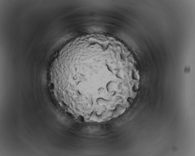 X0000102260353200808081406