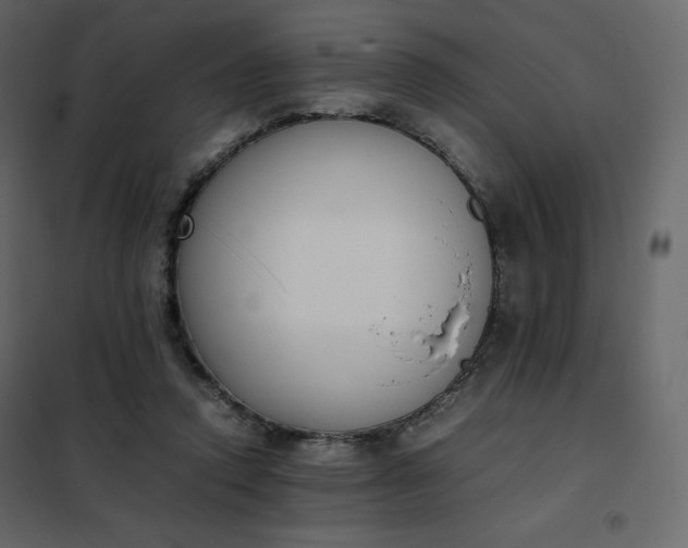 X0000102260354200808081406