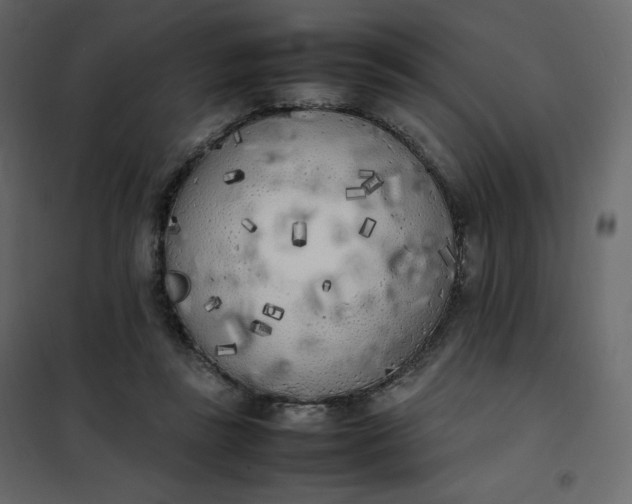 X0000102260355200808081406