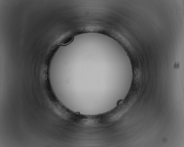 X0000102260356200808081406